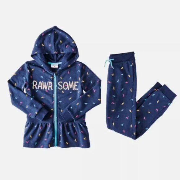 Toddler Girl Lily & Dan Dinosaur Animal Print Hooded Jacket & Pants Set Small - Picture 1 of 9